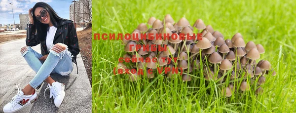 гидропоника Калининец