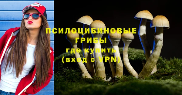 гидра Верхнеуральск